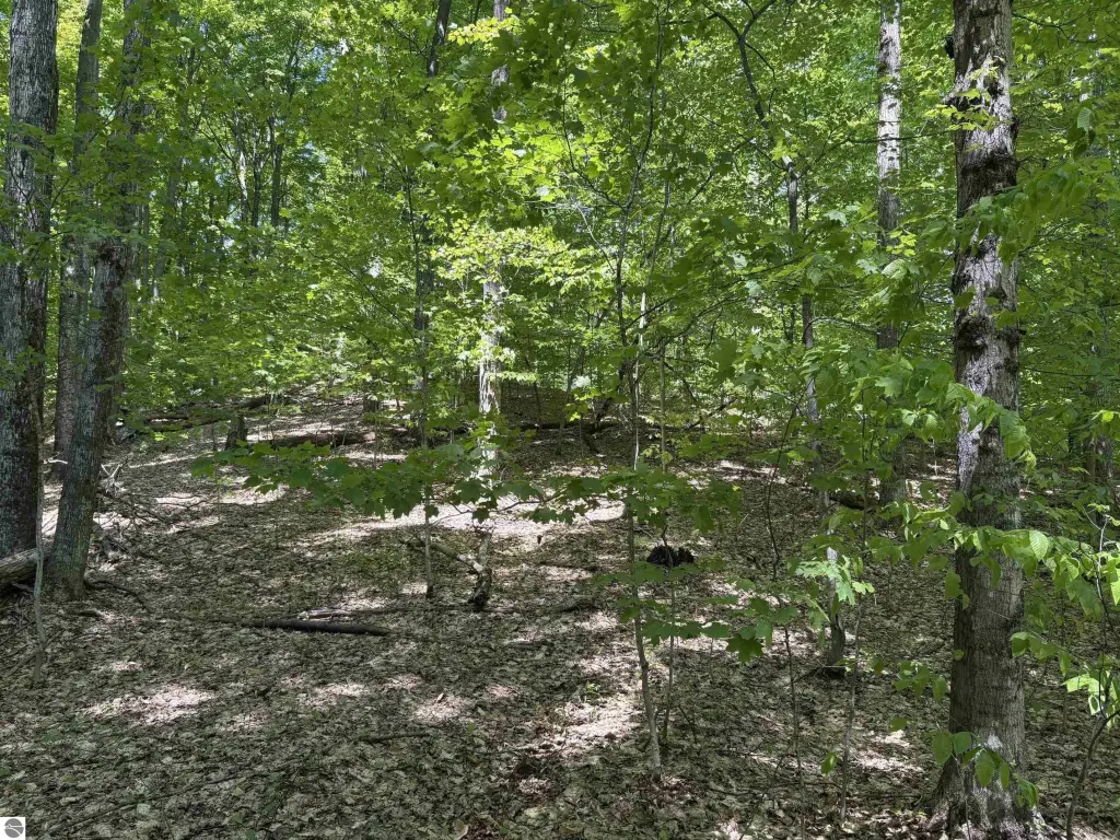 Picture 16