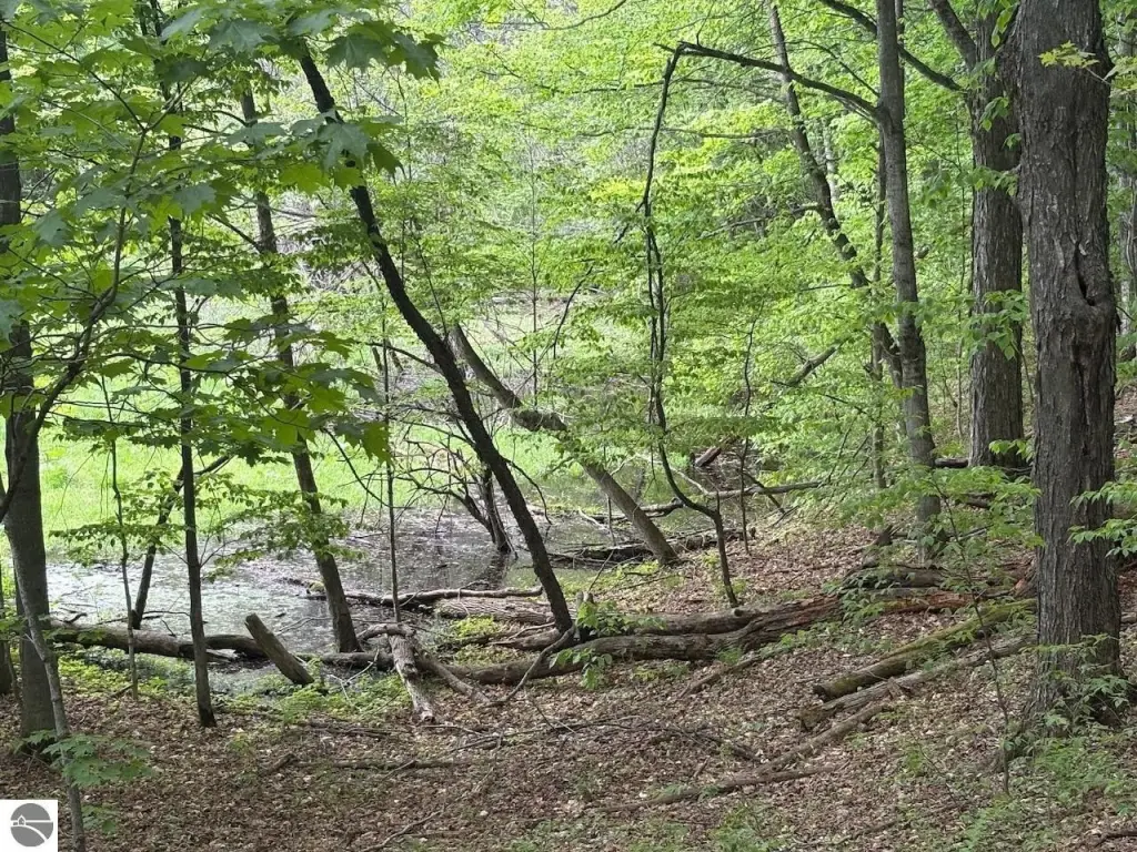 Picture 43