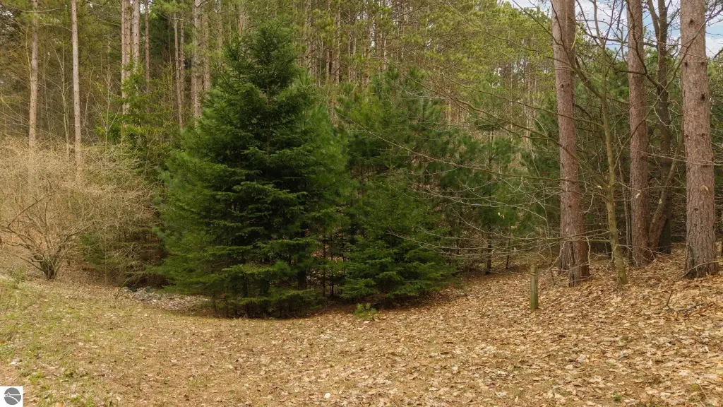 Picture 26