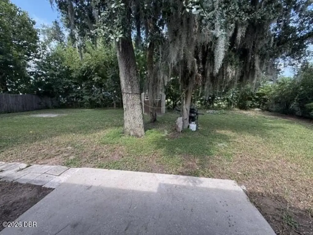 Picture 12