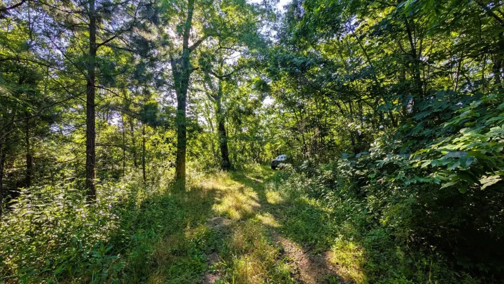 Picture 23