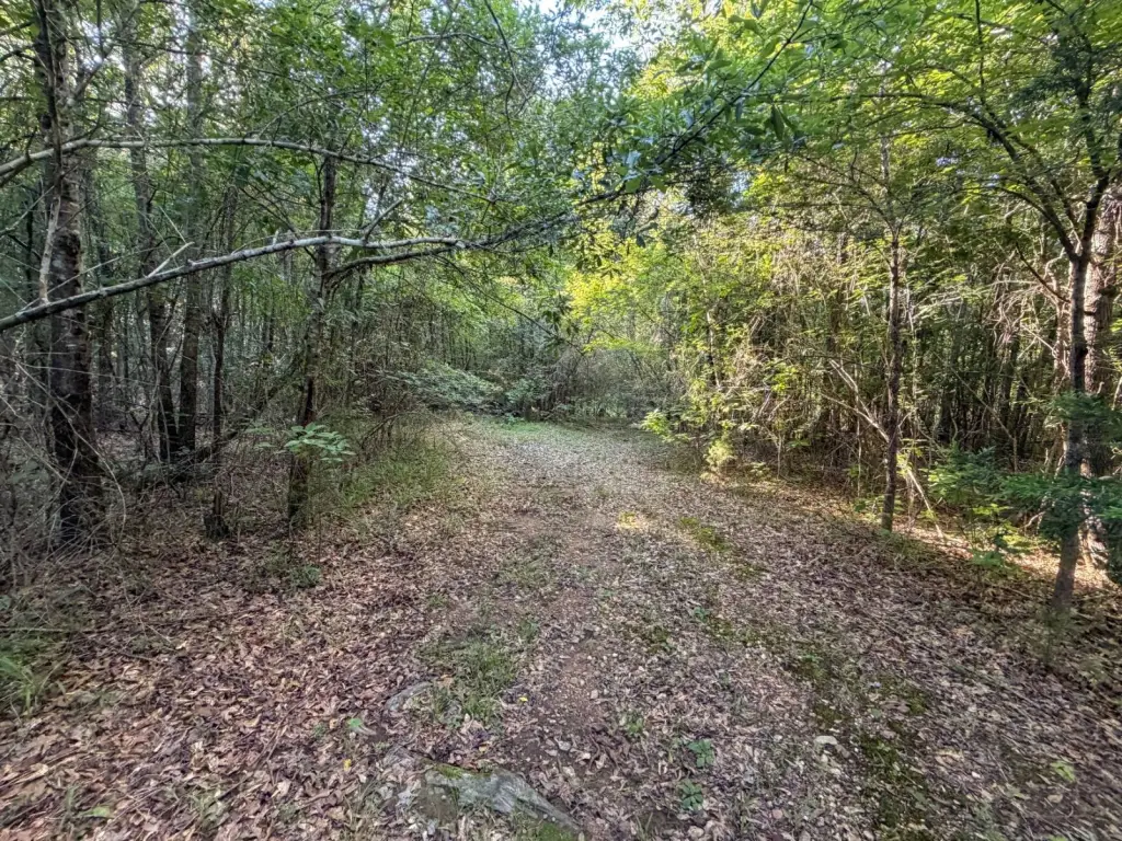 Picture 38