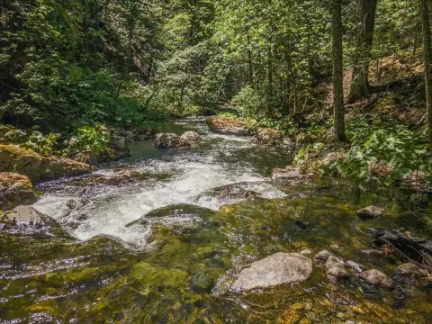 160 Acres of Untouched Wilderness