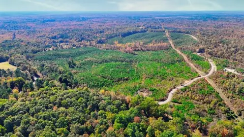Middleton, TN 5.99-Acre Parcel