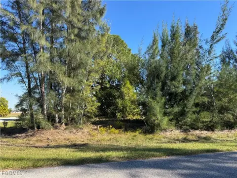 Commercial Lot in Cape Coral