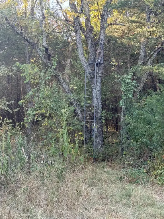 Picture 21