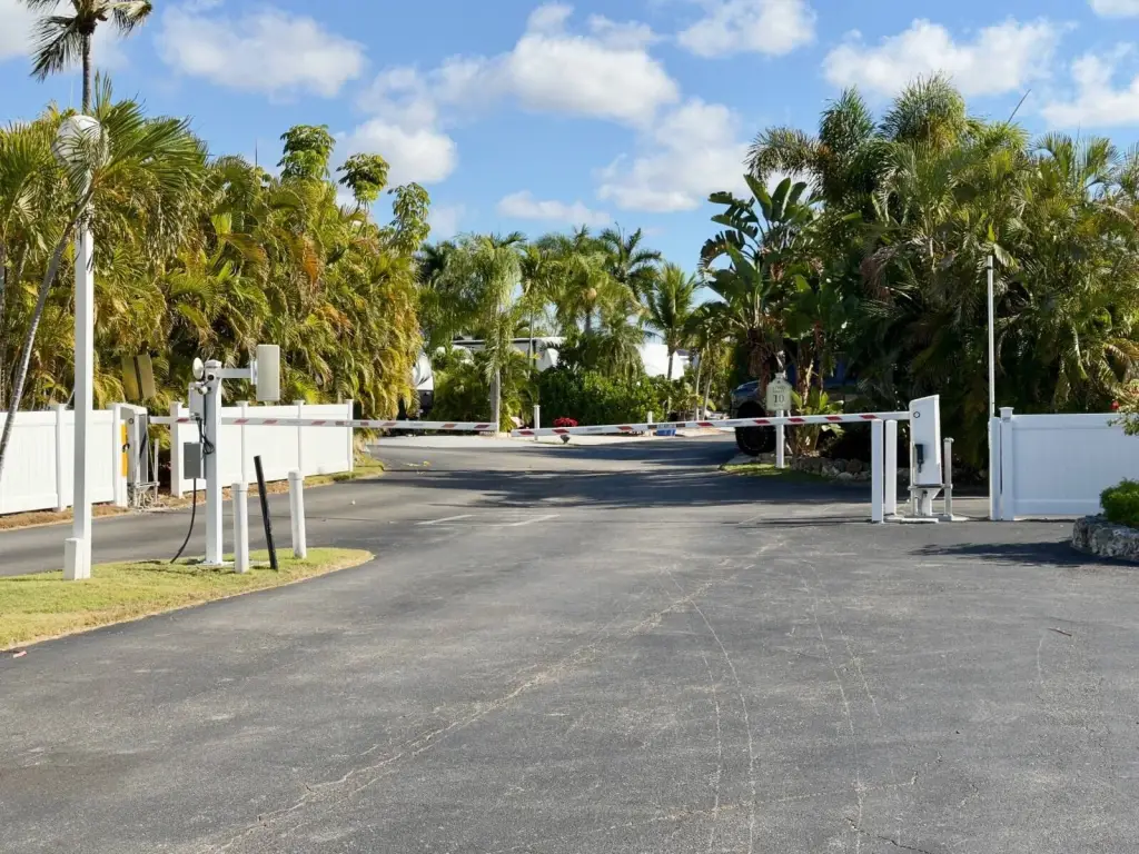 Picture 17