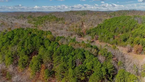 Secluded Acreage in Little Rock