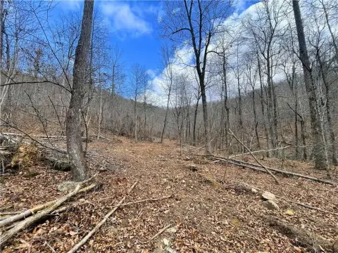 Secluded Land Bordering National Forest