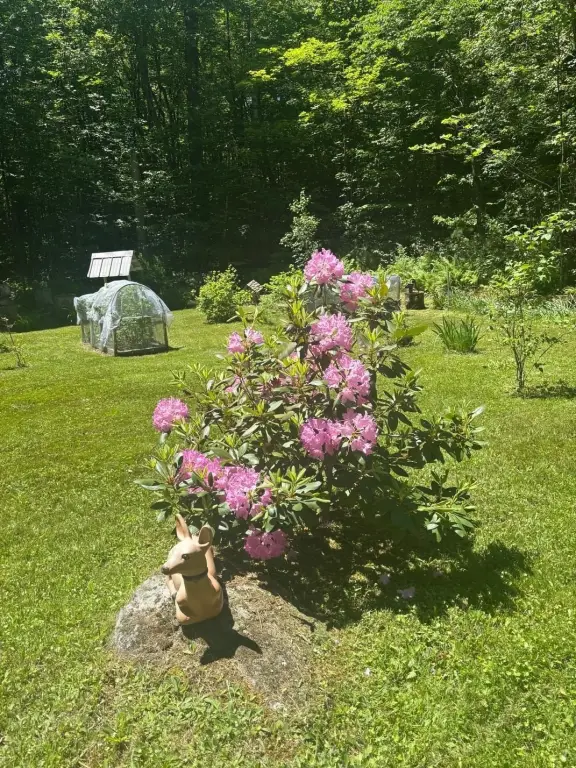 Picture 16