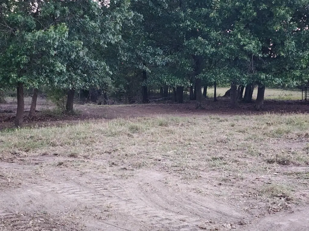 Picture 9
