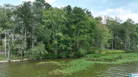 7.68 Acres in Ashville, AL