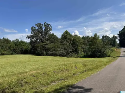 20.8 Acres in Vance, AL