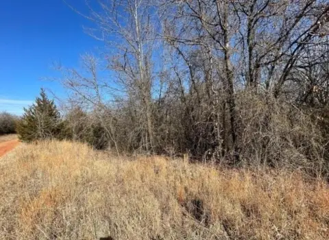Residential Lot Near Lake Thunderbird