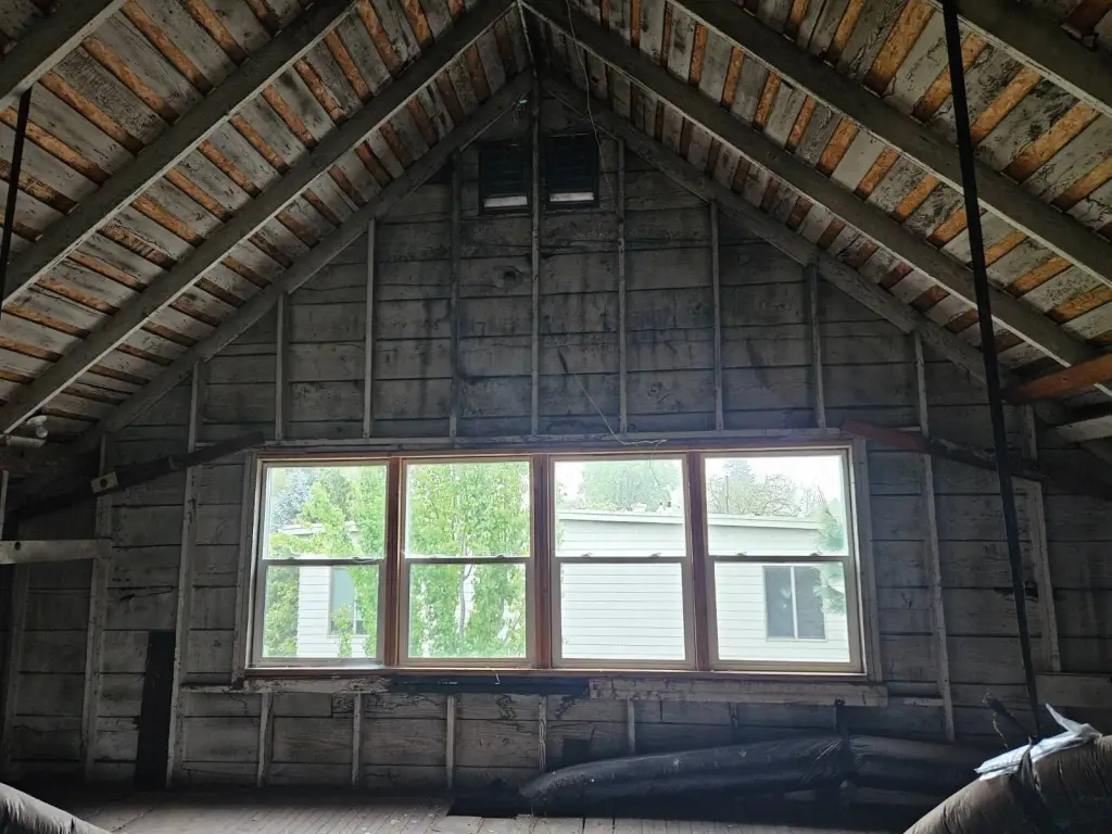 Picture 28