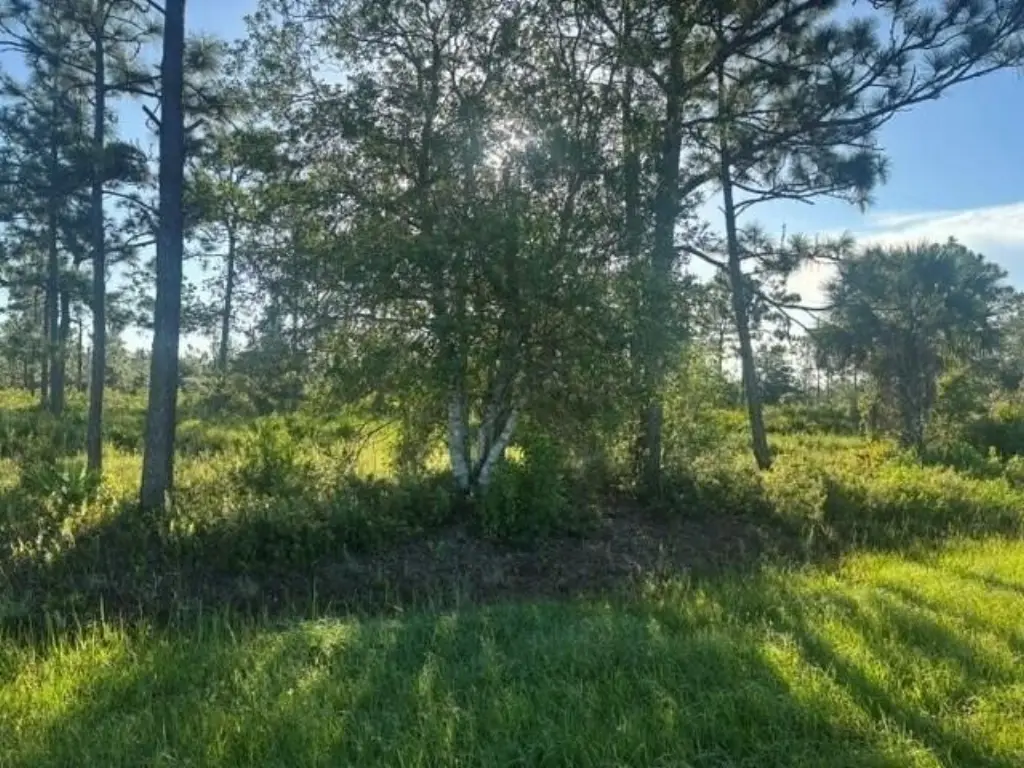 Picture 3
