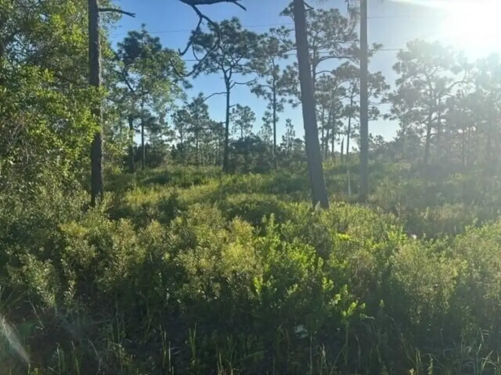 Picture 4