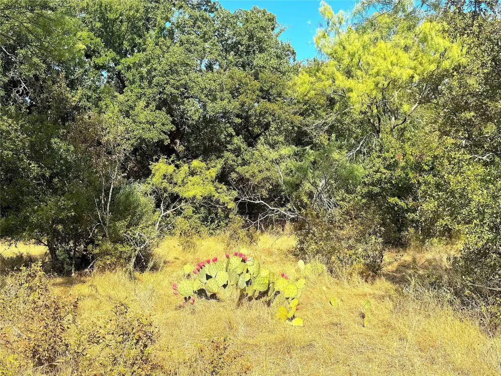 Picture 31