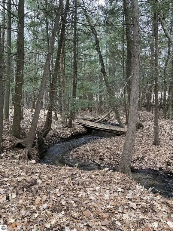 Picture 39