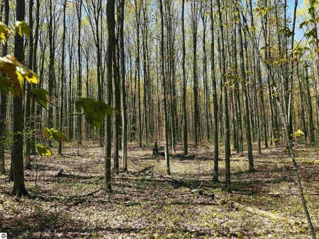 Picture 22