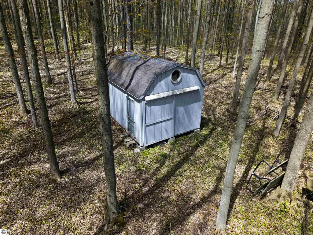 Picture 15
