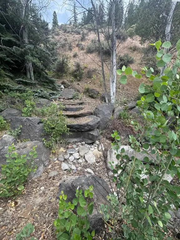 Picture 11