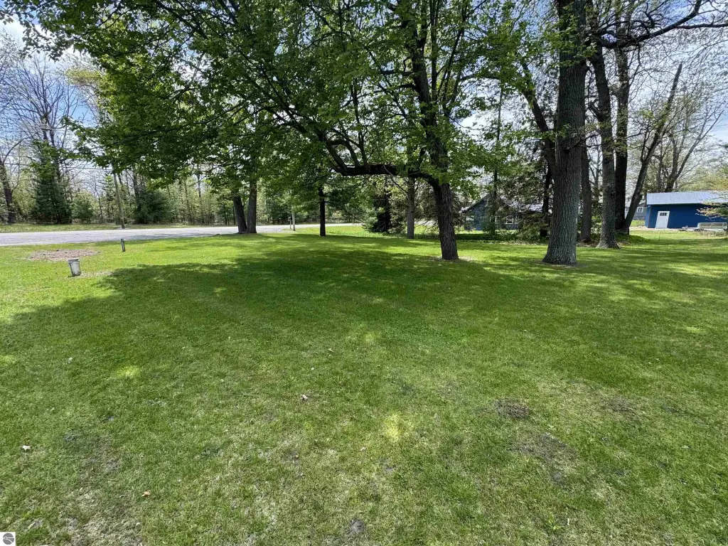 Picture 11