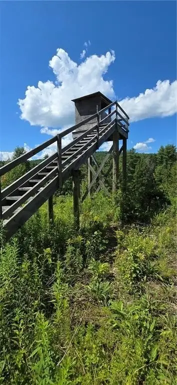 Picture 46