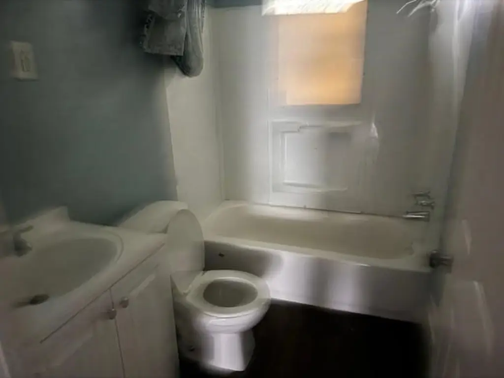 Picture 8