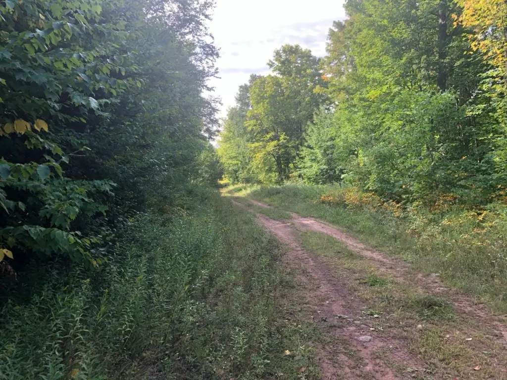 Picture 4