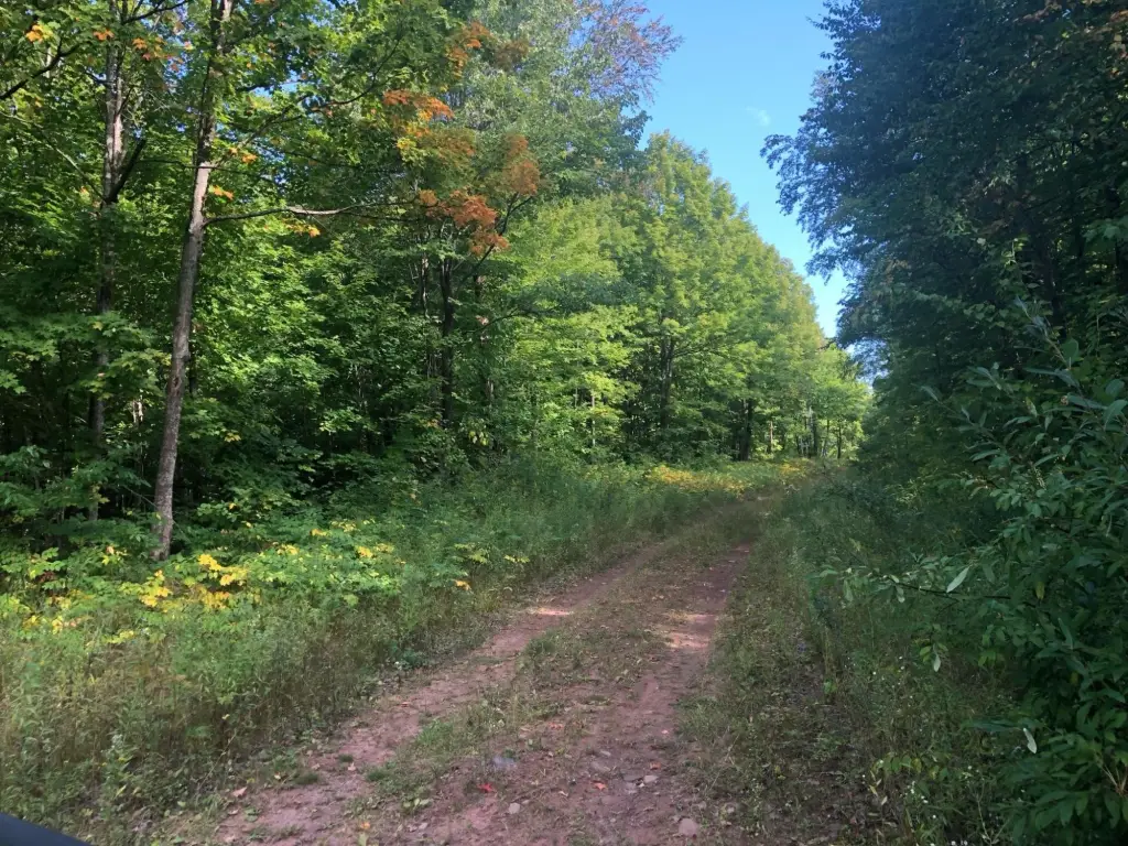 Picture 6