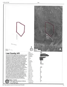 Tupelo Wooded Land Parcel