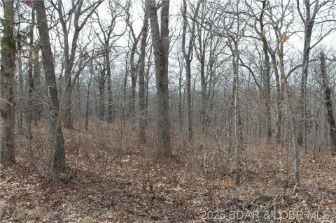 Forbes Lake of the Ozarks Lot
