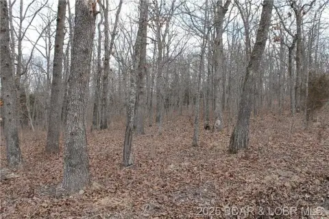 Land in Forbes Lake Community