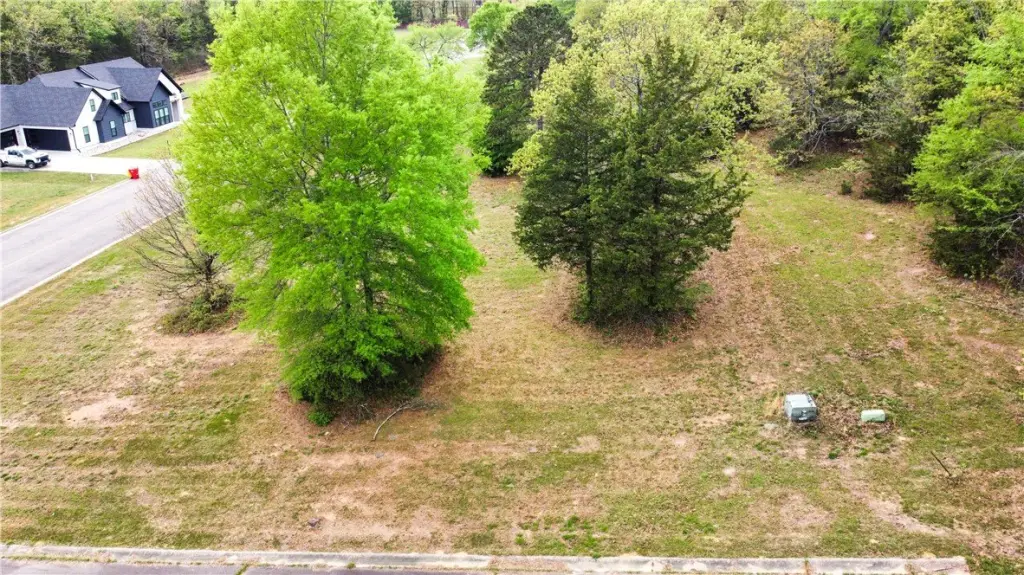 Picture 14