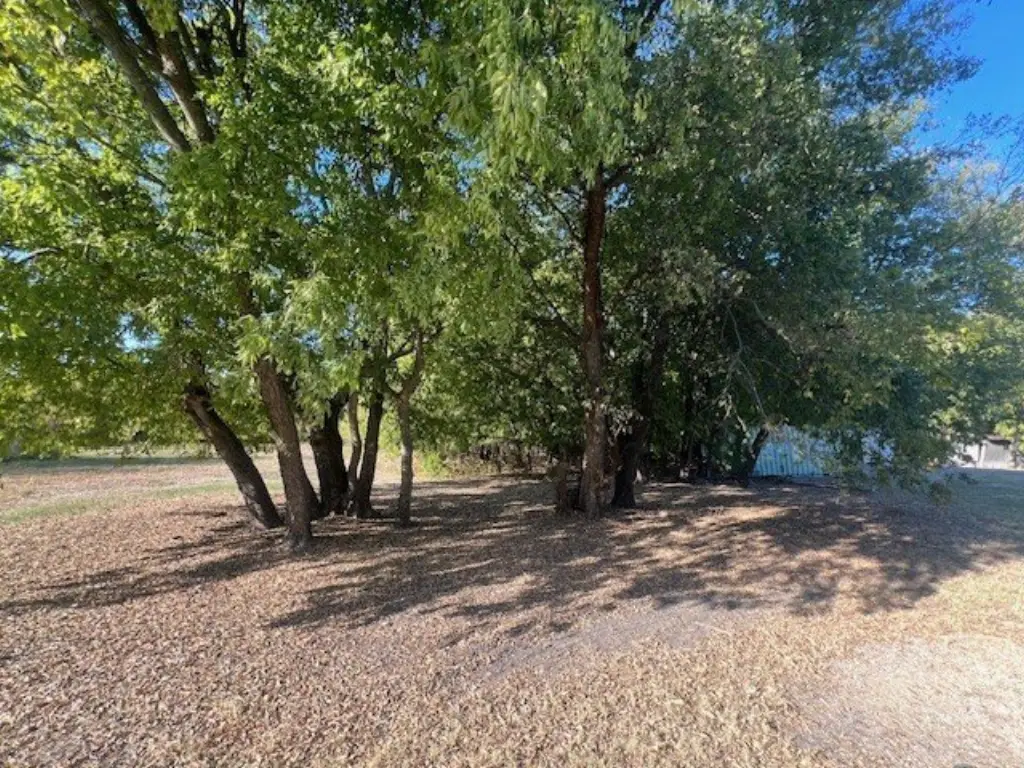 Picture 21