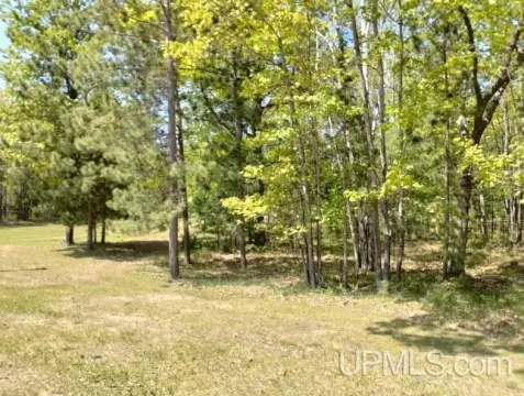Wooded Lot in Rapid River