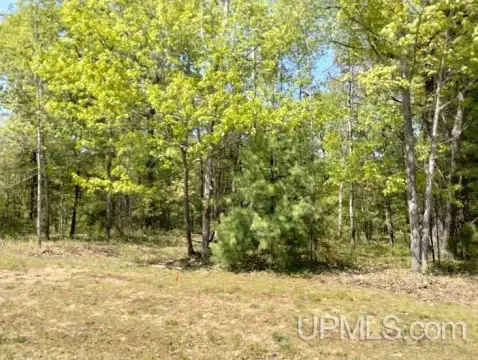 Wooded Lot in Rapid River