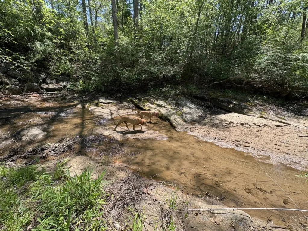 Picture 23