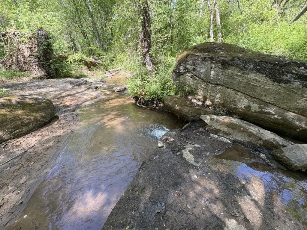 Picture 25