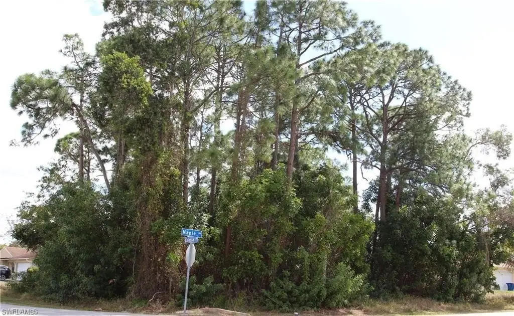 Picture 5