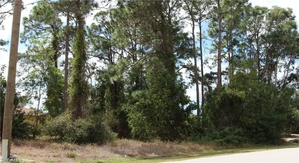 Picture 2