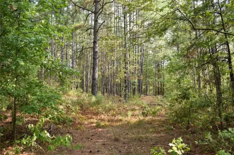 Wooded Ranch Tract Near Garrison