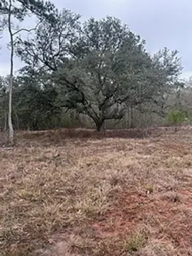 Holden, LA Vacant Land