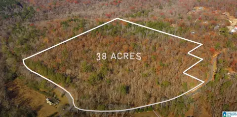 Wooded Acreage in Pinson, Alabama