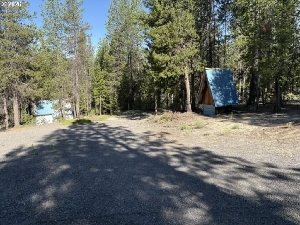 Picture 11