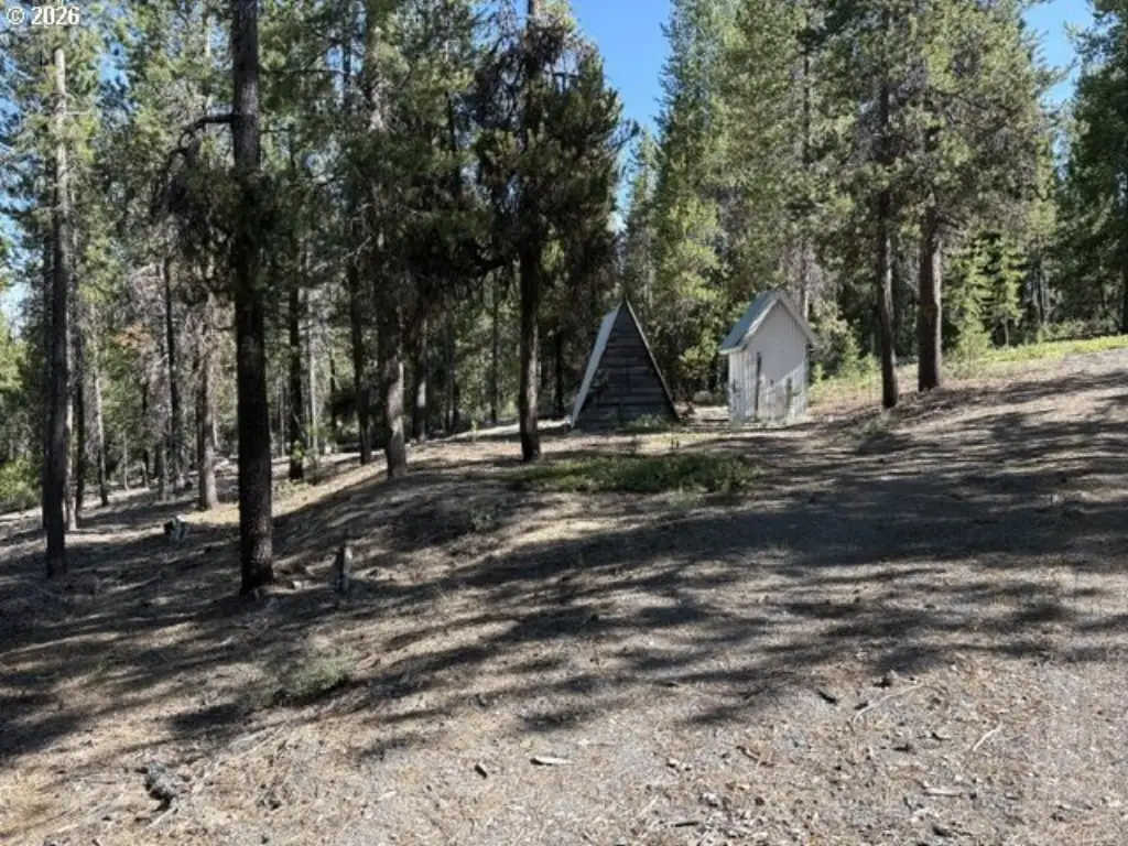 Picture 21