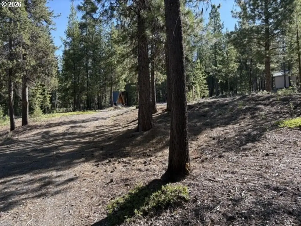 Picture 20