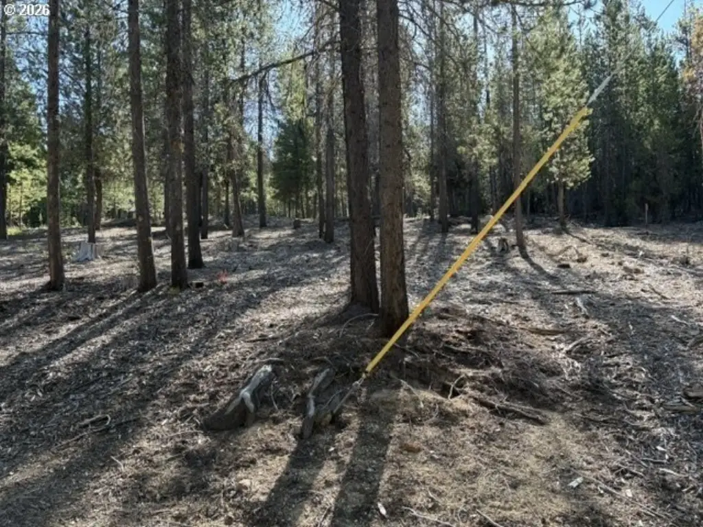 Picture 24