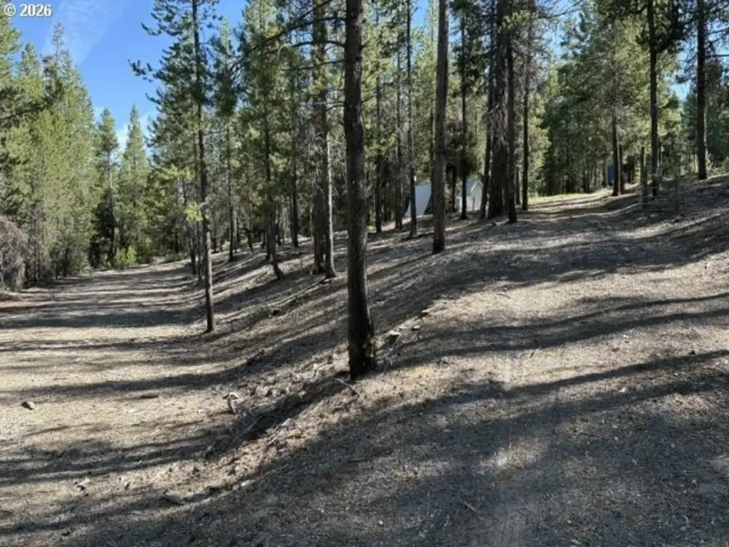 Picture 25